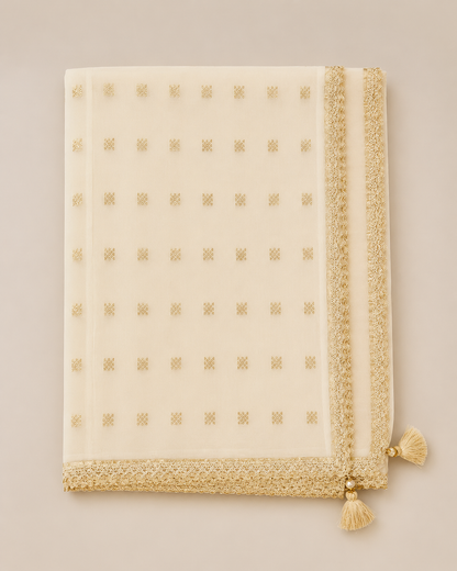 Ivory / Cream Mul Chanderi Suit
