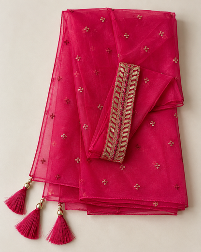 Gulabi Noor Pink Palazzo Suit